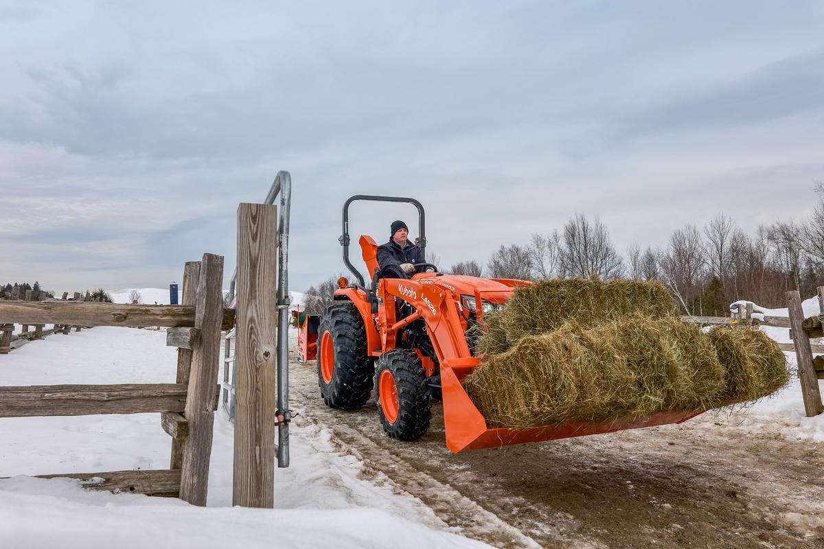 L3902 and Loader